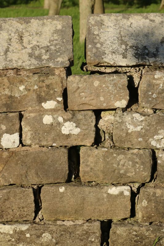 Stone Wall Repair in Clayton County, GA